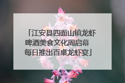 江安县四面山镇龙虾啤酒美食文化周启幕 每日推出百桌龙虾宴