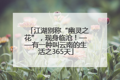 江湖别称“幽灵之花”，现身临沧！——有一种叫云南的生活之365天