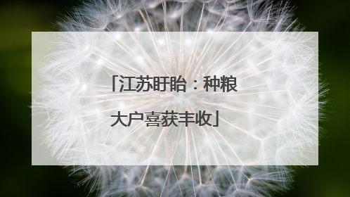 江苏盱眙：种粮大户喜获丰收