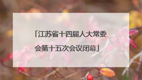 江苏省十四届人大常委会第十五次会议闭幕