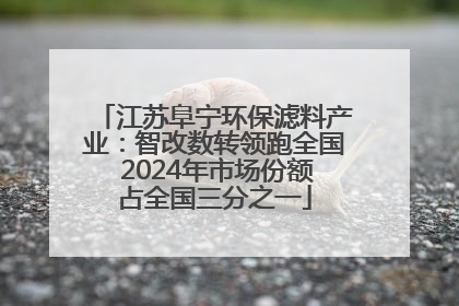 江苏阜宁环保滤料产业：智改数转领跑全国 2024年市场份额占全国三分之一