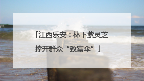 江西乐安：林下紫灵芝撑开群众“致富伞”