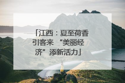 江西：夏至荷香引客来 “美丽经济”添新活力