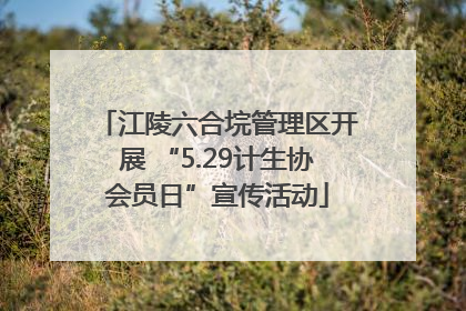 江陵六合垸管理区开展 “5.29计生协会员日”宣传活动
