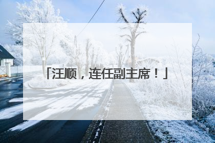汪顺，连任副主席！
