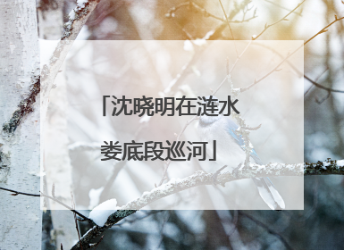 沈晓明在涟水娄底段巡河