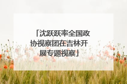 沈跃跃率全国政协视察团在吉林开展专题视察