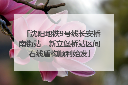 沈阳地铁9号线长安桥南街站—新立堡桥站区间右线盾构顺利始发