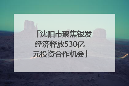 沈阳市聚焦银发经济释放530亿元投资合作机会