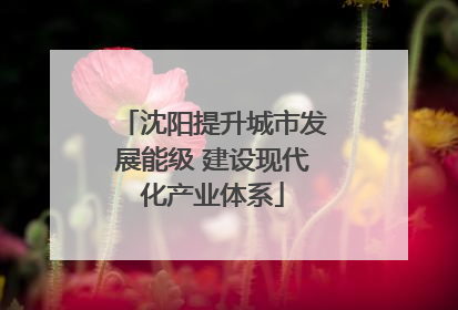 沈阳提升城市发展能级 建设现代化产业体系