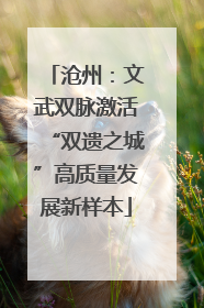 沧州：文武双脉激活“双遗之城”高质量发展新样本