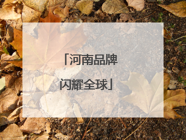 河南品牌 闪耀全球