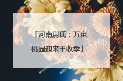 河南尉氏：万亩桃园迎来丰收季