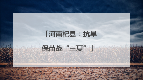 河南杞县：抗旱保苗战“三夏”