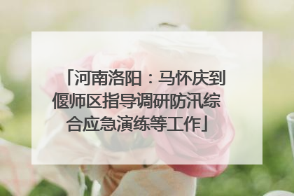 河南洛阳：马怀庆到偃师区指导调研防汛综合应急演练等工作