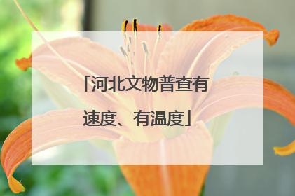 河北文物普查有速度、有温度