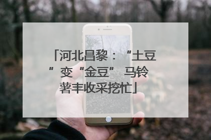 河北昌黎：“土豆”变“金豆” 马铃薯丰收采挖忙