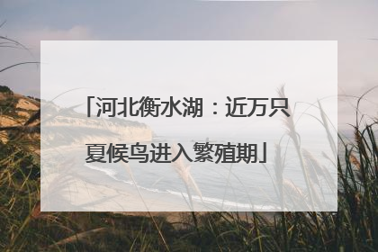 河北衡水湖：近万只夏候鸟进入繁殖期