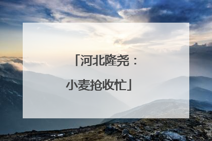河北隆尧：小麦抢收忙