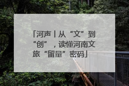河声丨从“文”到“创”，读懂河南文旅“留量”密码