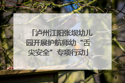 泸州江阳张坝幼儿园开展护航师幼“舌尖安全”专项行动