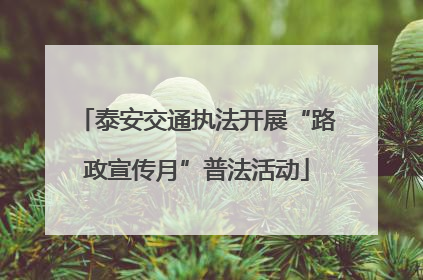 泰安交通执法开展“路政宣传月”普法活动