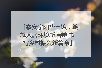 泰安宁阳华丰镇：绘就人居环境新画卷 书写乡村振兴新篇章
