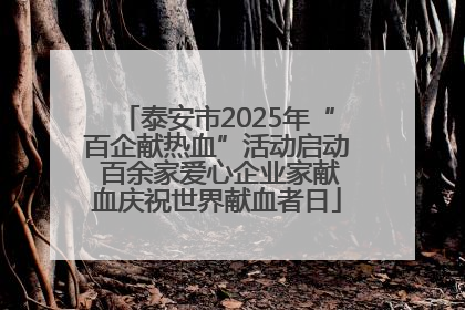 泰安市2025年“百企献热血”活动启动 百余家爱心企业家献血庆祝世界献血者日