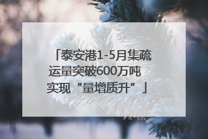 泰安港1-5月集疏运量突破600万吨 实现“量增质升”