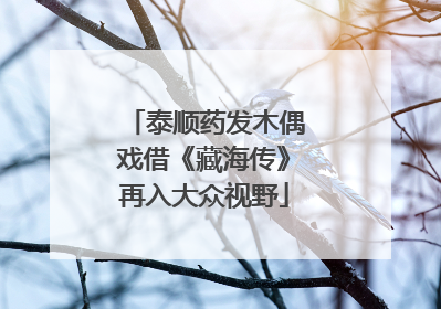 泰顺药发木偶戏借《藏海传》再入大众视野