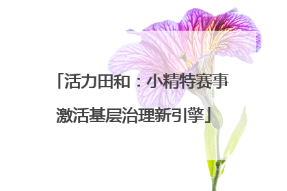 活力田和：小精特赛事激活基层治理新引擎