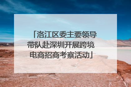 洛江区委主要领导带队赴深圳开展跨境电商招商考察活动