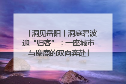 洞见岳阳丨洞庭碧波迎“归客”：一座城市与麋鹿的双向奔赴