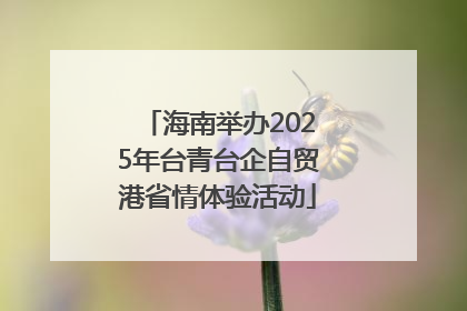 海南举办2025年台青台企自贸港省情体验活动