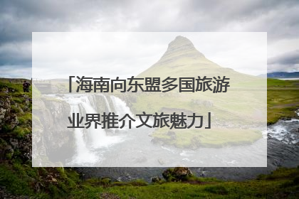 海南向东盟多国旅游业界推介文旅魅力