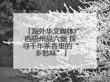 海外华文媒体广西梧州品六堡 探寻千年茶香里的“乡愁味”
