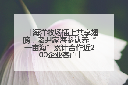 海洋牧场插上共享翅膀，老尹家海参认养“一亩海”累计合作近200企业客户