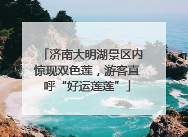 济南大明湖景区内惊现双色莲，游客直呼“好运莲莲”