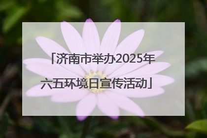 济南市举办2025年六五环境日宣传活动