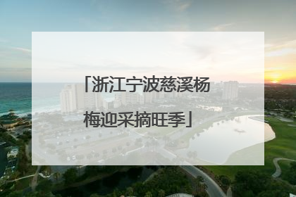 浙江宁波慈溪杨梅迎采摘旺季