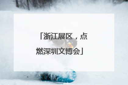 浙江展区，点燃深圳文博会