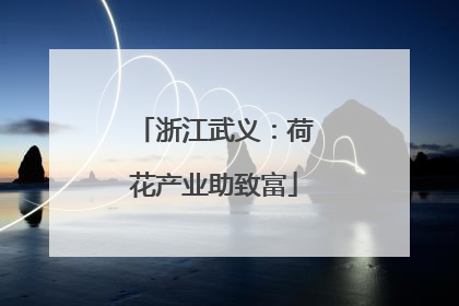 浙江武义：荷花产业助致富