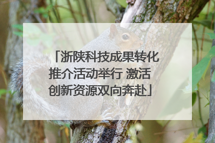 浙陕科技成果转化推介活动举行 激活创新资源双向奔赴