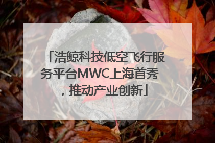 浩鲸科技低空飞行服务平台MWC上海首秀，推动产业创新
