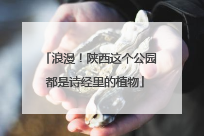 浪漫！陕西这个公园都是诗经里的植物