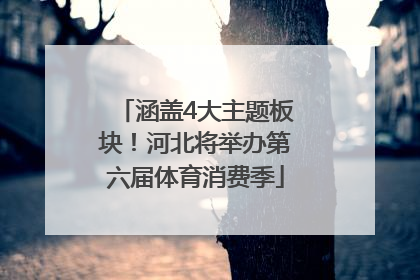 涵盖4大主题板块！河北将举办第六届体育消费季