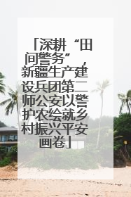 深耕“田间警务”，新疆生产建设兵团第二师公安以警护农绘就乡村振兴平安画卷
