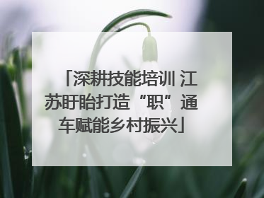 深耕技能培训 江苏盱眙打造“职”通车赋能乡村振兴
