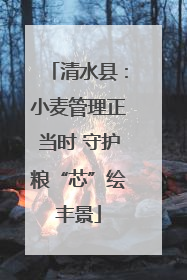 清水县：小麦管理正当时 守护粮“芯”绘丰景