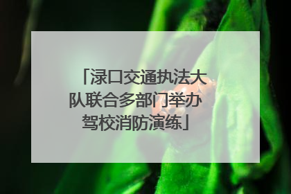 渌口交通执法大队联合多部门举办驾校消防演练